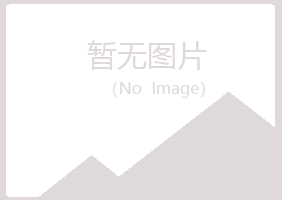 桃山区体会金属有限公司